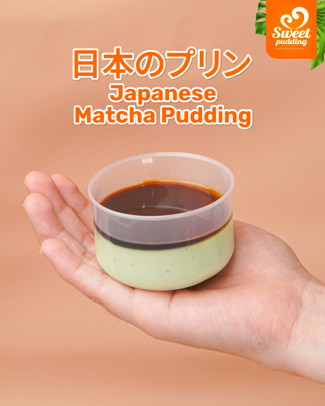 Launching Japanese Matcha Pudding