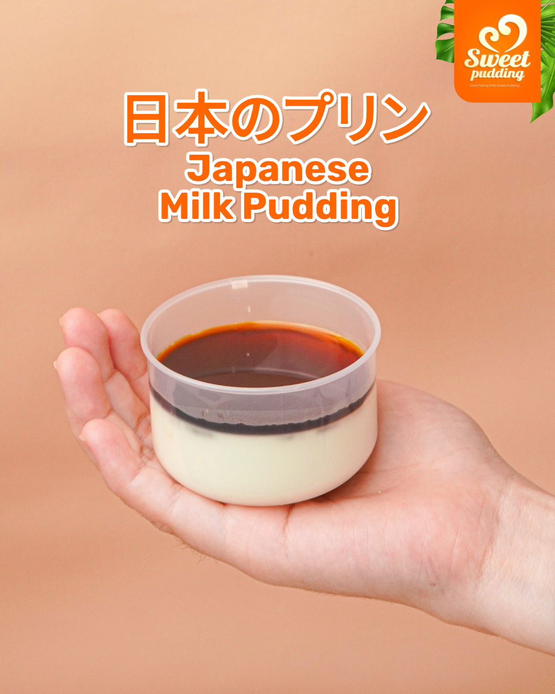 Launching Japanese Milk Pudding